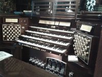 Organ Chicago